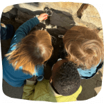 Lupen untersuchen Tiere