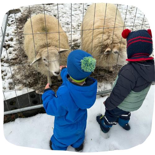 WhatsApp Image 2026 02 08 at 15.49.00 2