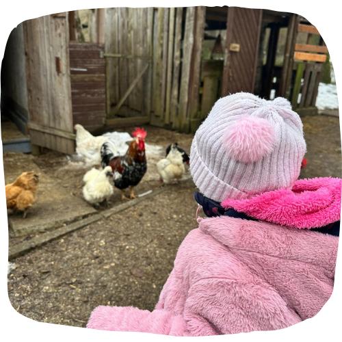 WhatsApp Image 2026 02 08 at 15.49.00 3