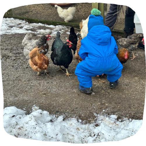 WhatsApp Image 2026 02 08 at 15.49.00 4