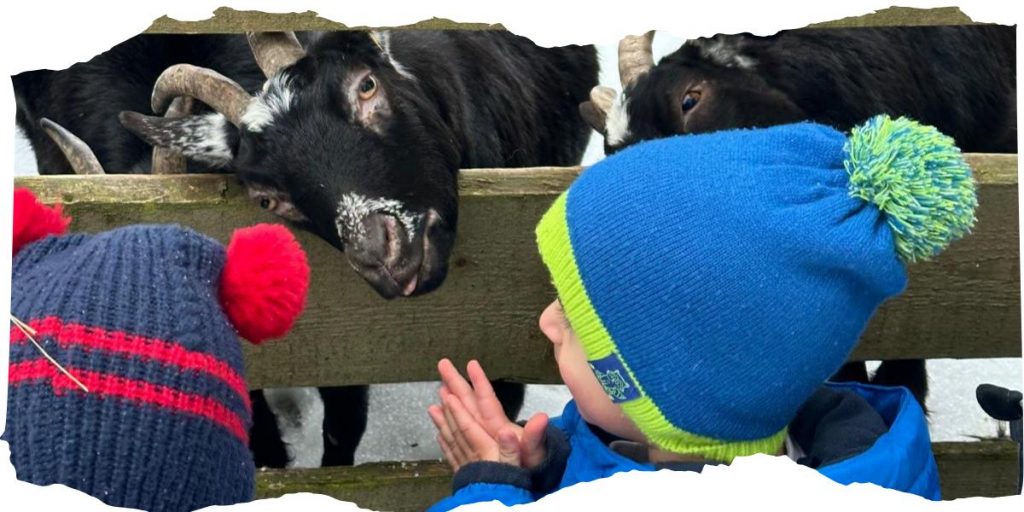 WhatsApp Image 2026 02 08 at 16.04.27 3