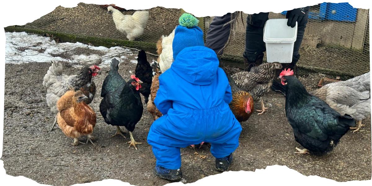 WhatsApp Image 2026-02-08 at 16.04.27